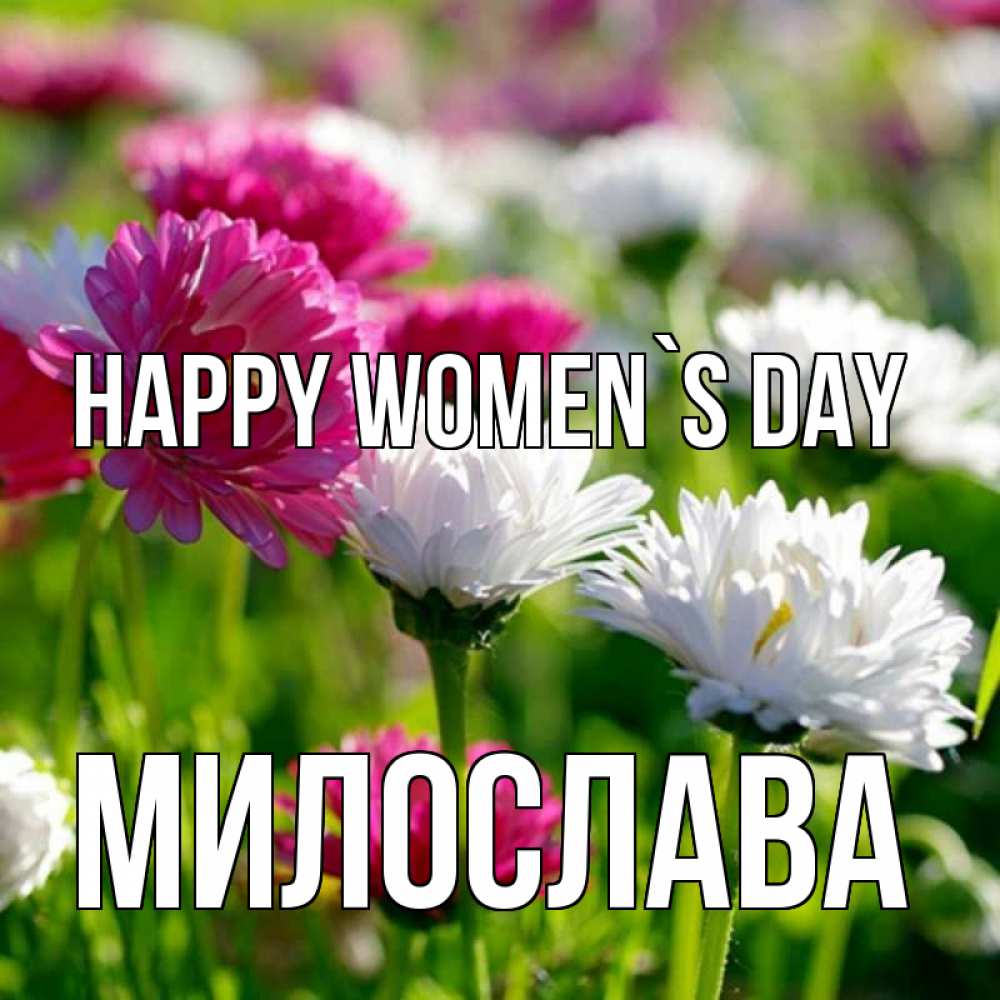 Greetings card с именем, Милослава happy women`s day международный женский день 1 Greetings with text for free download 